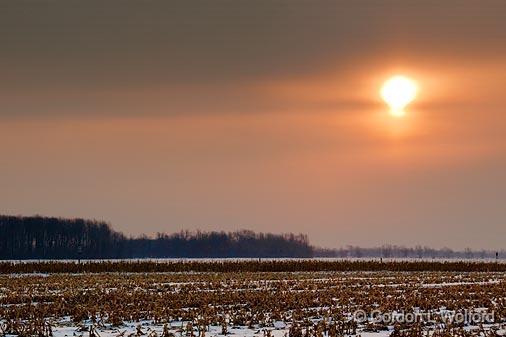 Winter Sun_13546.jpg - Photographed at Ottawa, Ontario - the capital of Canada.